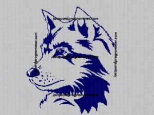 PATAN 5 DOWNLOAD