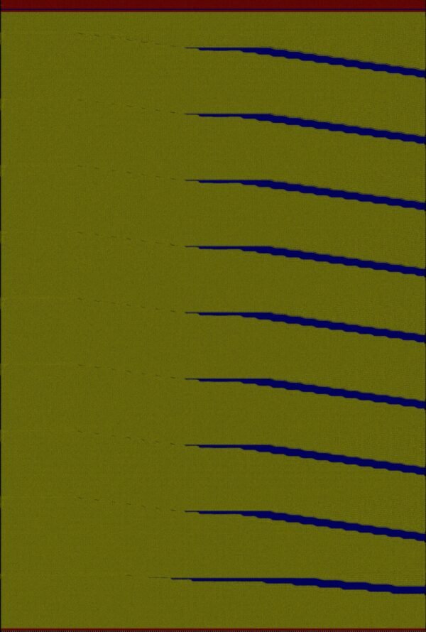 SW-203 - Image 4