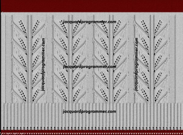 pata-1 - Image 2
